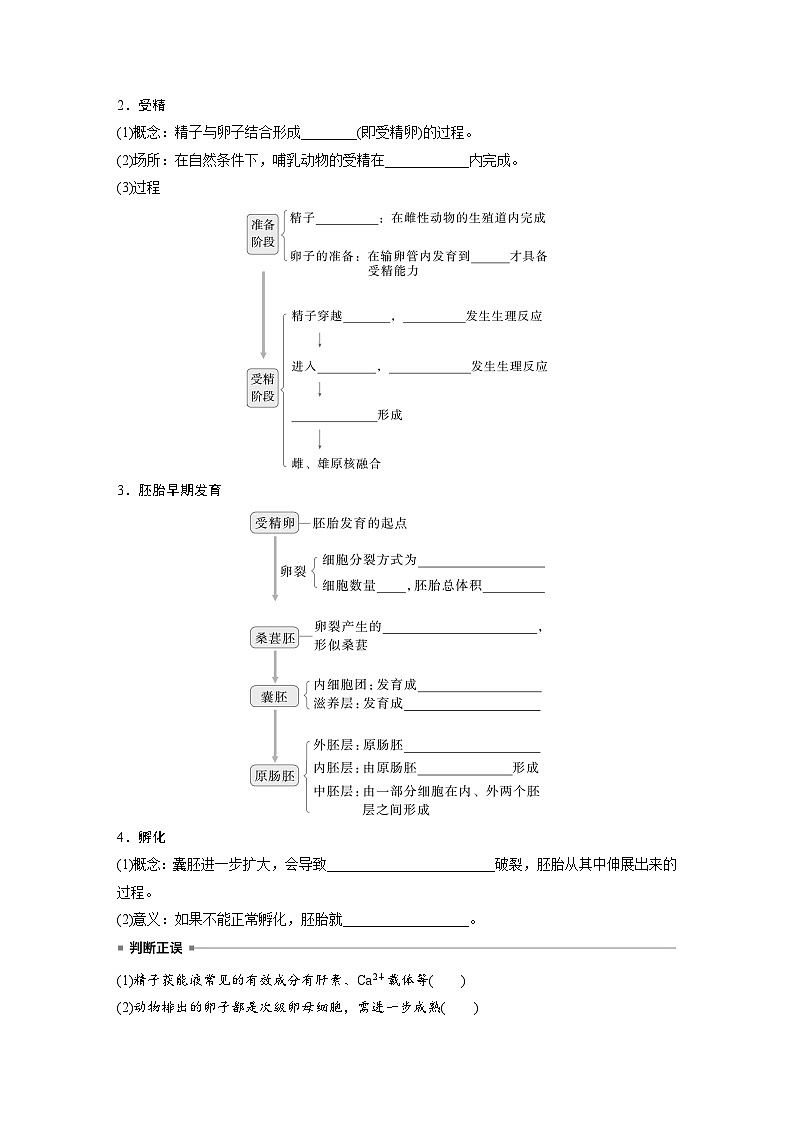 第十单元　第60课时　胚胎工程-2025年高考生物大一轮复习（课件+讲义+练习）学生版第2页