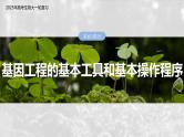 第十单元　第61课时　基因工程的基本工具和基本操作程序-2025年高考生物大一轮复习（课件+讲义+练习）
