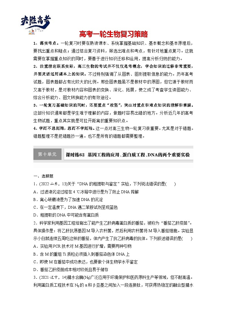 第十单元　第62课时　基因工程的应用、蛋白质工程、DNA的两个重要实验-2025年高考生物大一轮复习（课件+讲义+练习）01