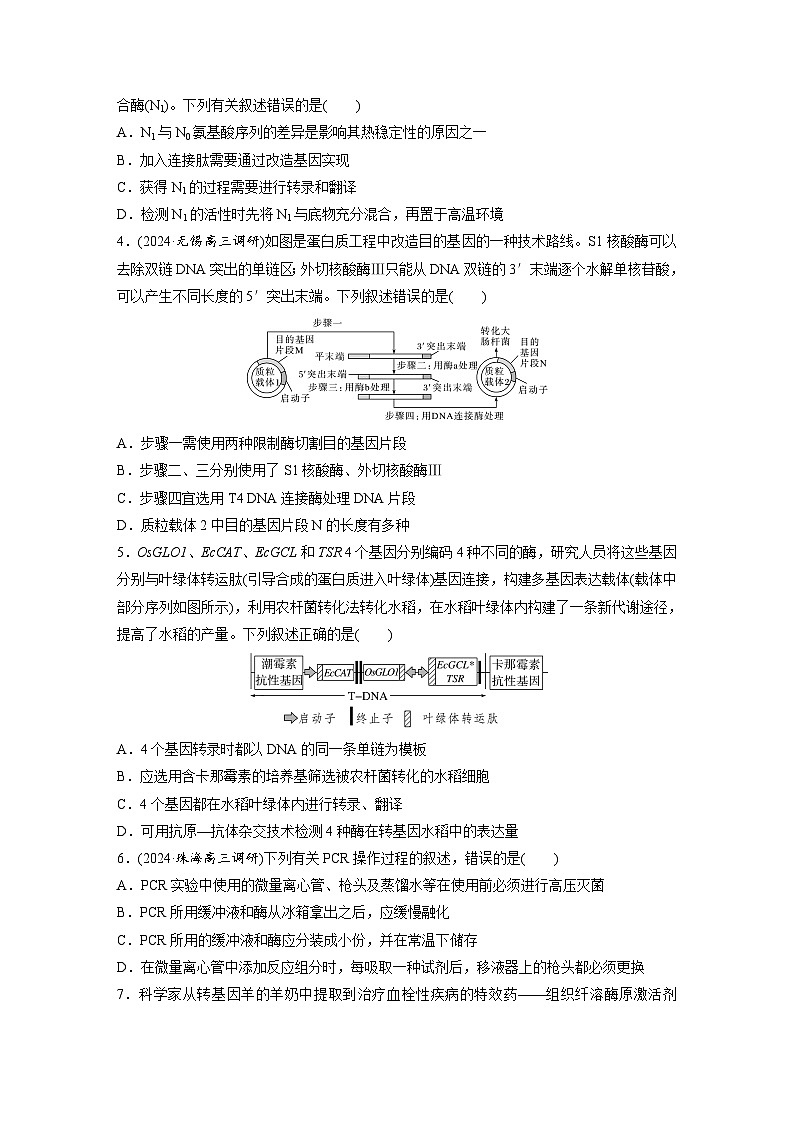 第十单元　第62课时　基因工程的应用、蛋白质工程、DNA的两个重要实验-2025年高考生物大一轮复习（课件+讲义+练习）02