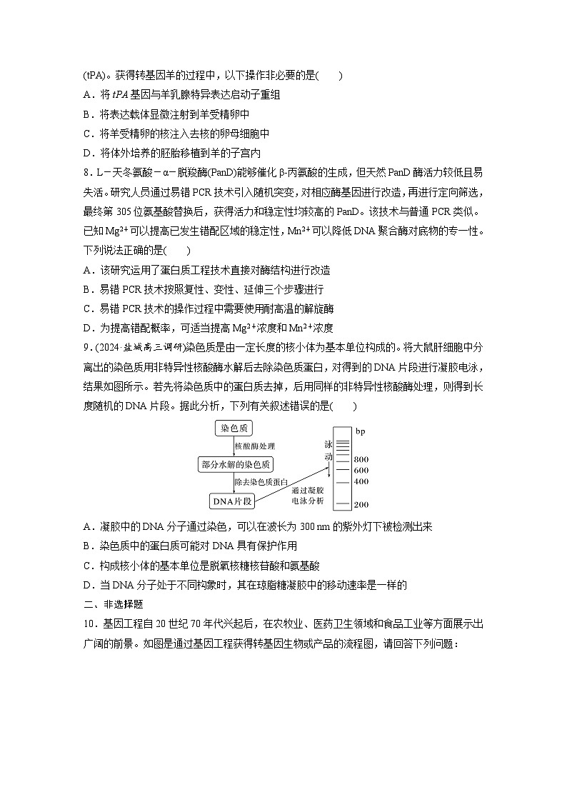 第十单元　第62课时　基因工程的应用、蛋白质工程、DNA的两个重要实验-2025年高考生物大一轮复习（课件+讲义+练习）03