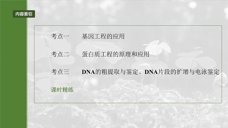 第十单元　第62课时　基因工程的应用、蛋白质工程、DNA的两个重要实验-2025年高考生物大一轮复习（课件+讲义+练习）05