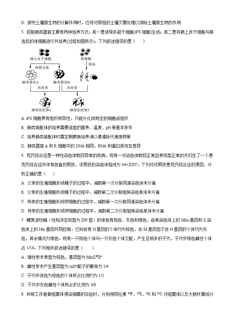 新疆部分校2024-2025学年高三上学期新起点联考生物试题（原卷版+解析版）02