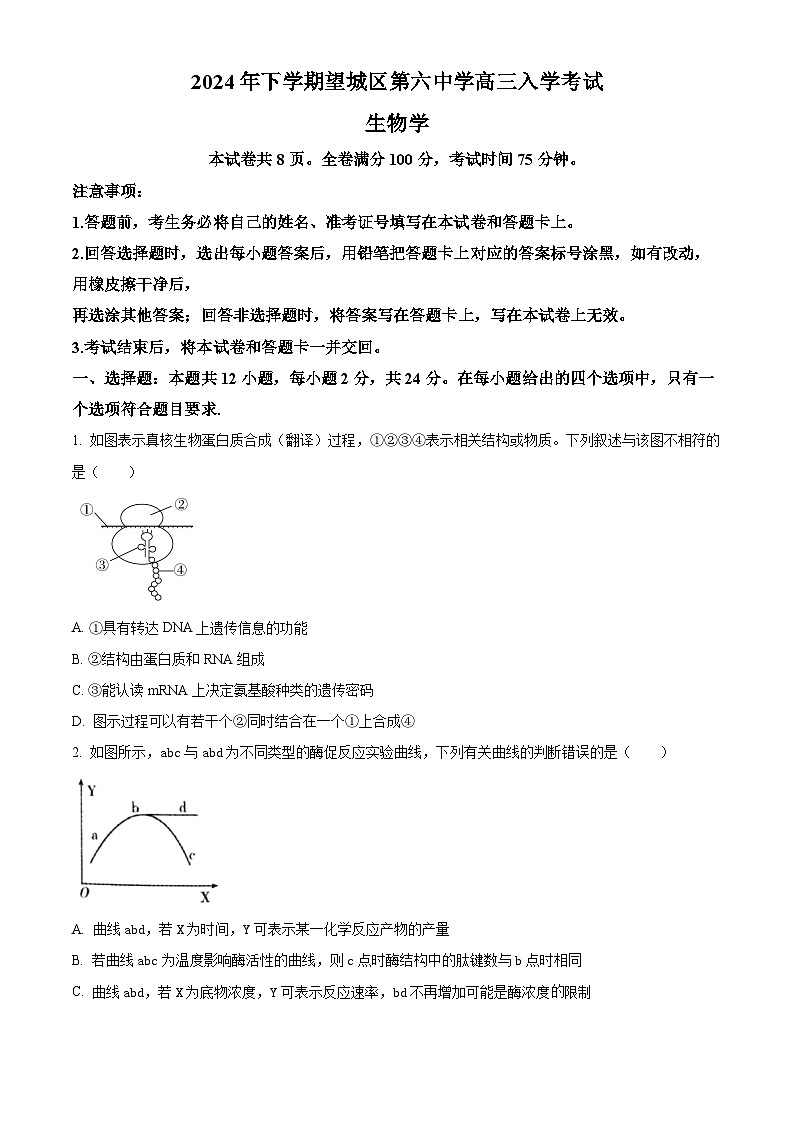 湖南省长沙市望城区第六中学2024-2025学年高三上学期开学考试生物试题（原卷版）第1页