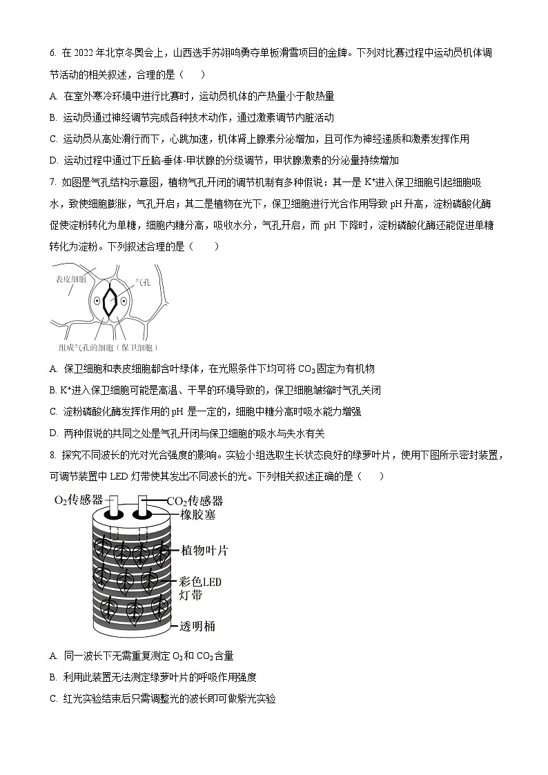湖南省长沙市望城区第六中学2024-2025学年高三上学期开学考试生物试题（原卷版）第3页