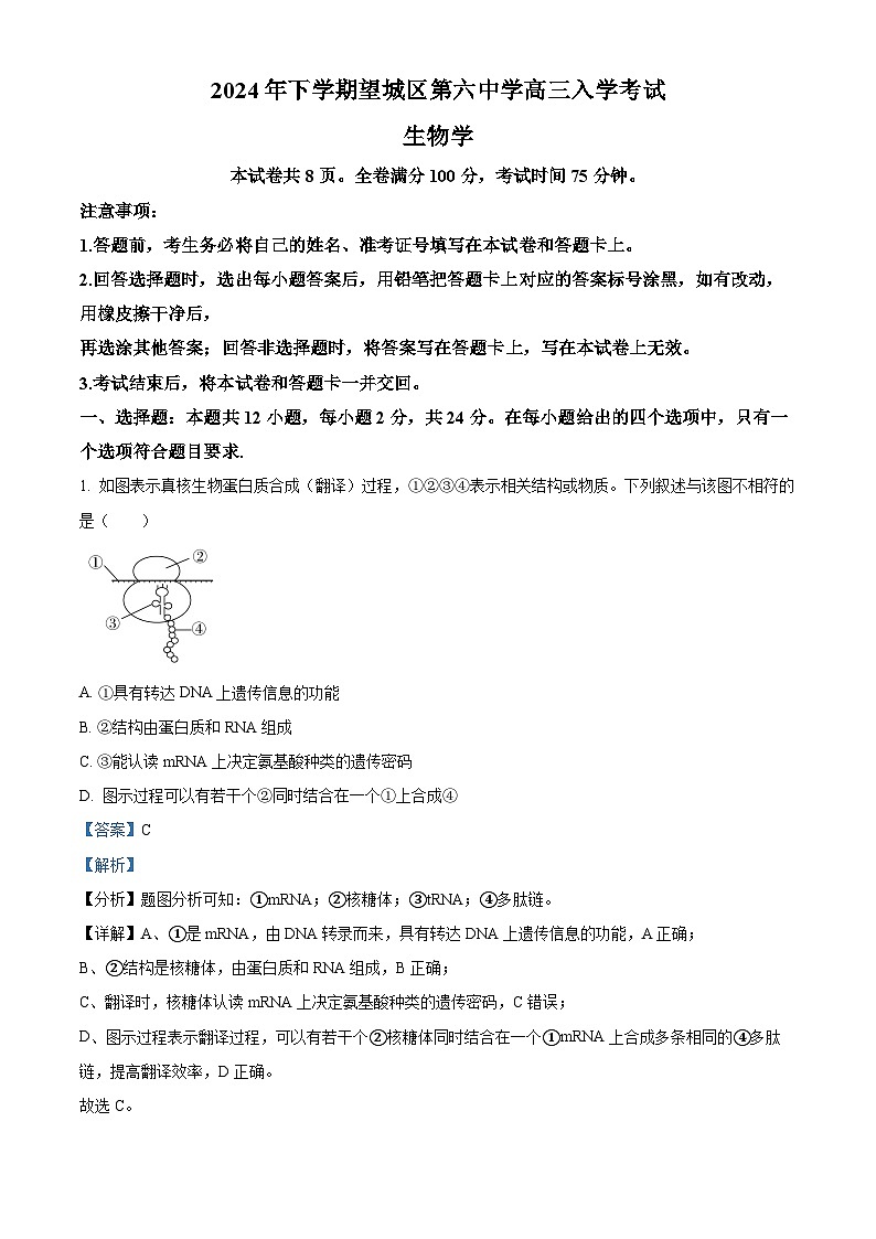 湖南省长沙市望城区第六中学2024-2025学年高三上学期开学考试生物试题（解析版）第1页