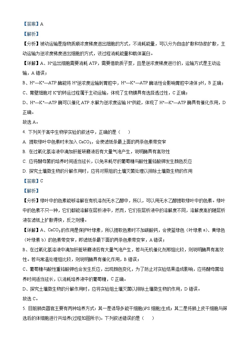 新疆部分校2024-2025学年高三上学期新起点联考生物试题（解析版）03