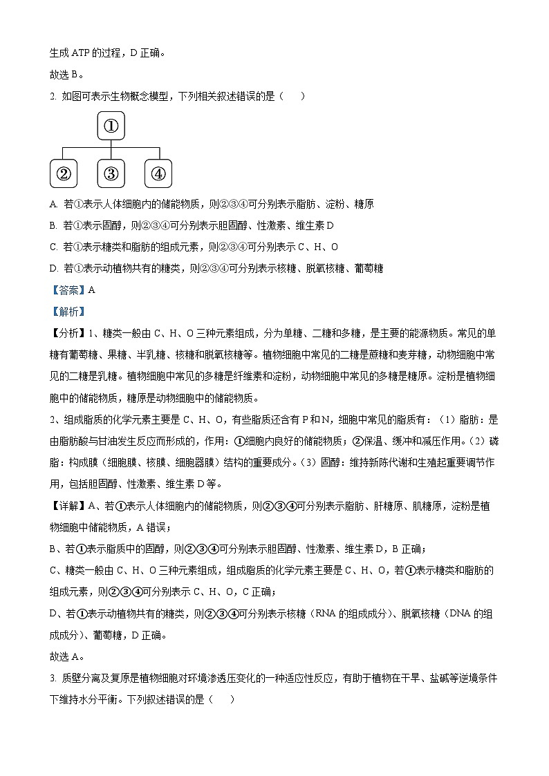 湖南省名校联考联合体2025届高三上学期第一次联考（暨入学检测）生物试题（解析版）02