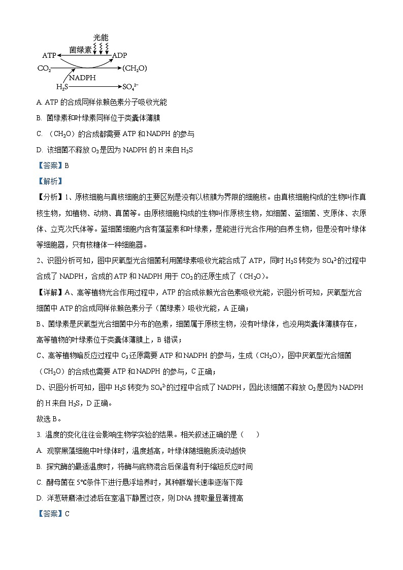 2025届广东省高三上学期第一次调研考试生物试题（解析版）第2页