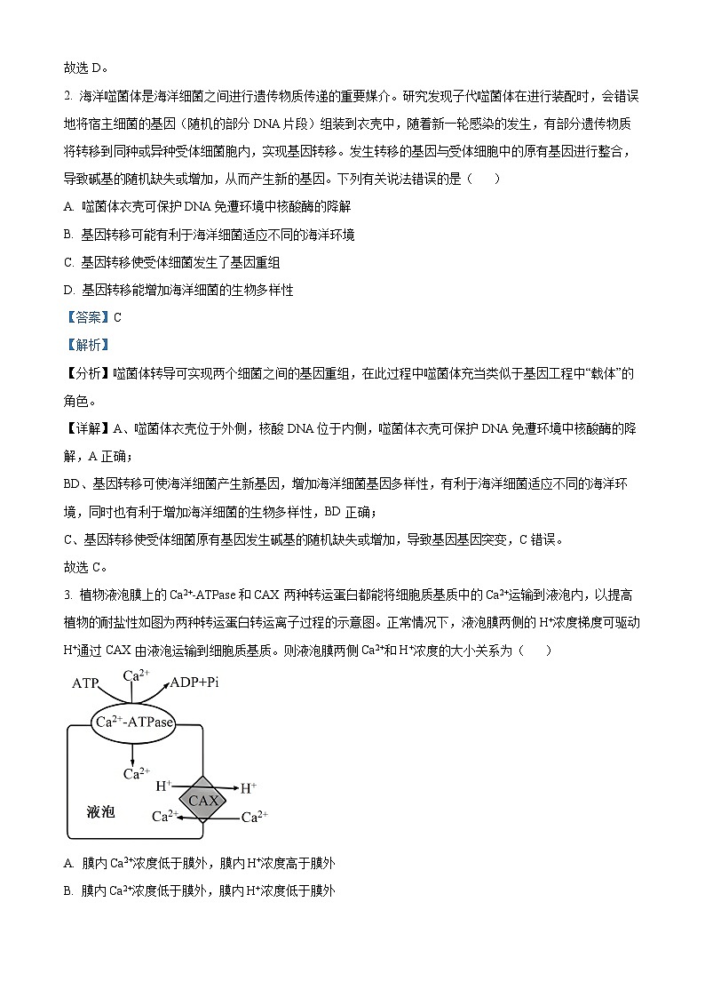 天一大联考2024-2025学年高三第一次考试生物试题（解析版）第2页