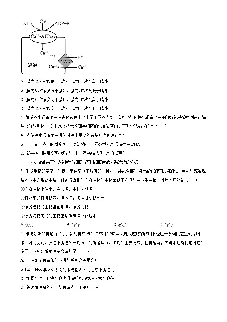 陕西省延安市宝塔区培文实验学校2024-2025学年高三上学期开学摸底考试生物试卷（原卷版+解析版）02