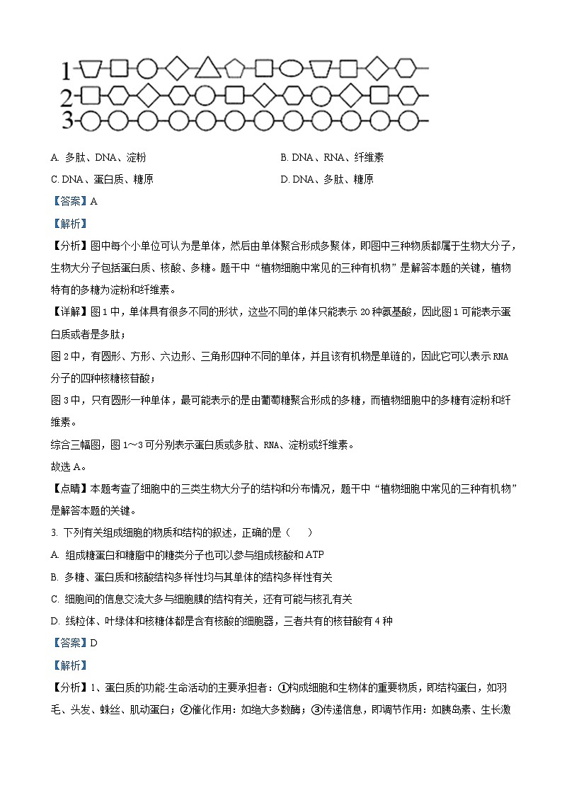湖南省长沙市望城区第六中学2024-2025学年高二上学期开学考试生物试题（原卷版+解析版）02