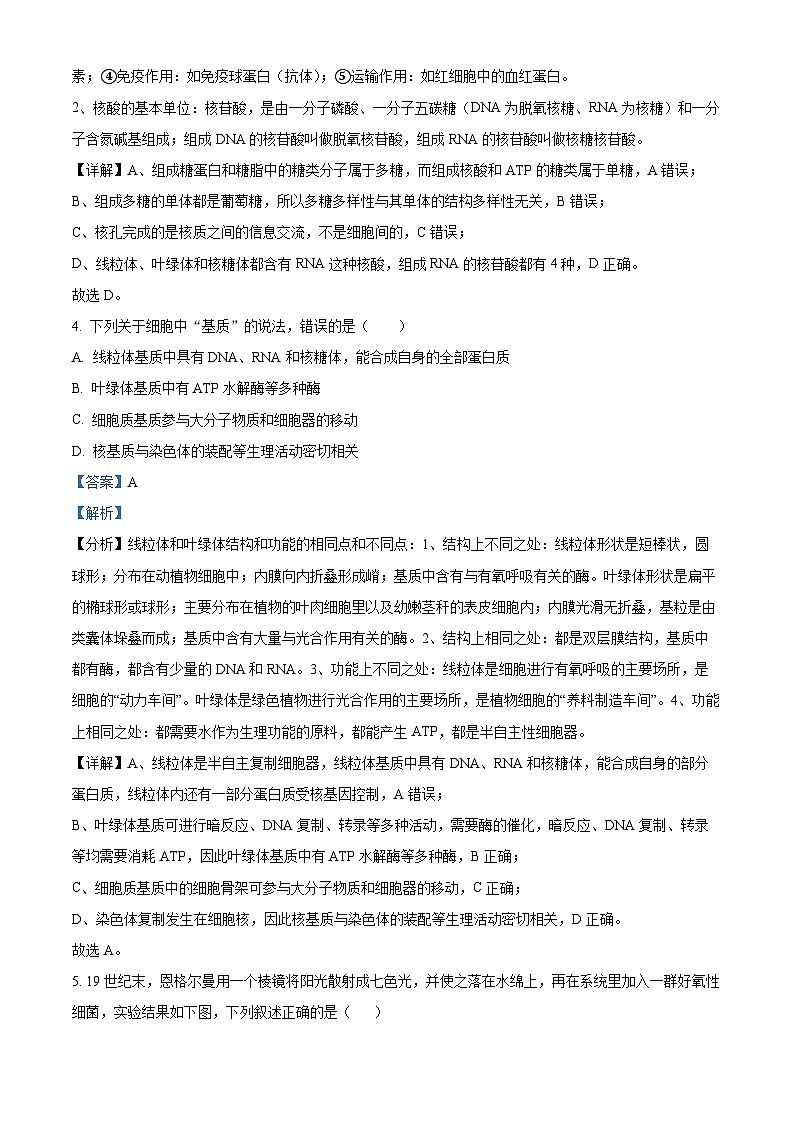 湖南省长沙市望城区第六中学2024-2025学年高二上学期开学考试生物试题（原卷版+解析版）03