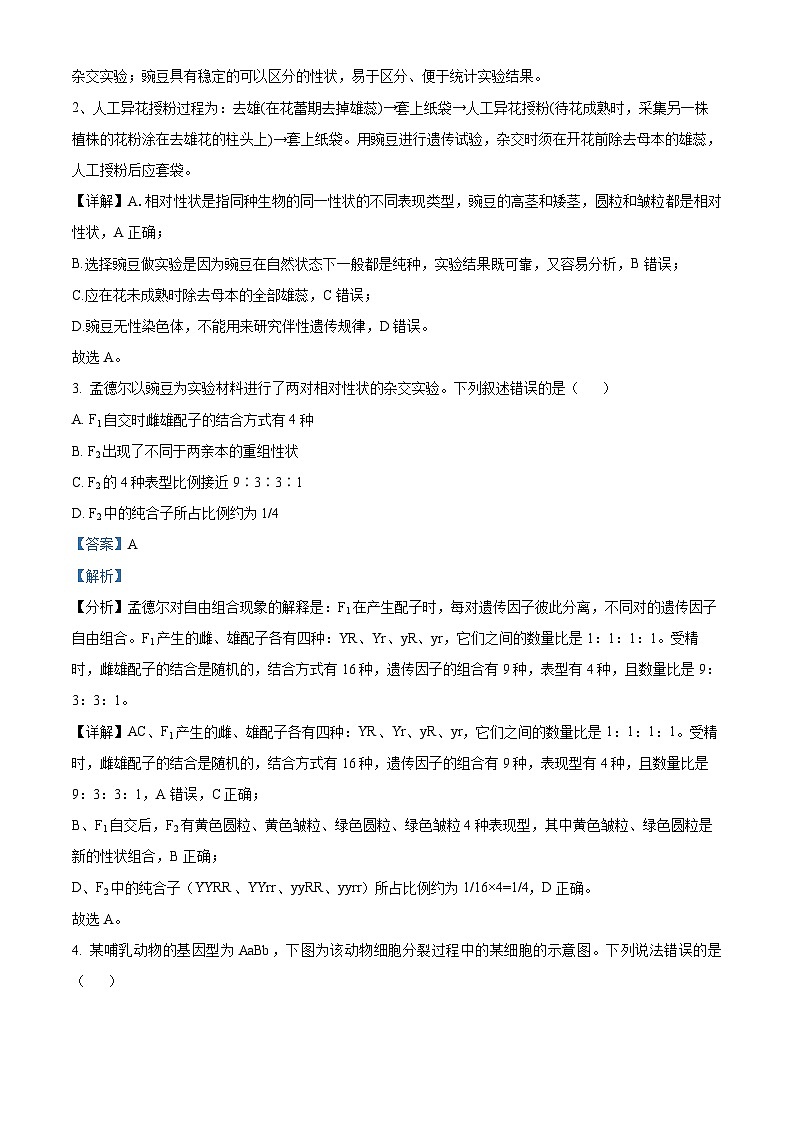 广西玉林新世纪高级中学2024-2025学年高二上学期开学假期调研考试生物试题（原卷版+解析版）02