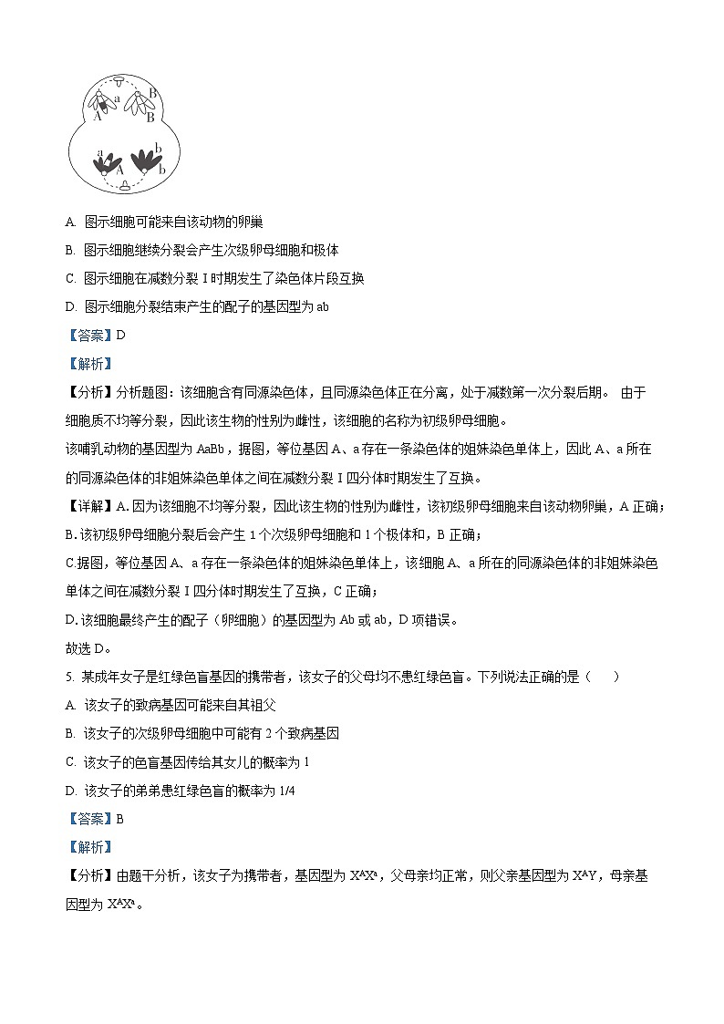 广西玉林新世纪高级中学2024-2025学年高二上学期开学假期调研考试生物试题（原卷版+解析版）03