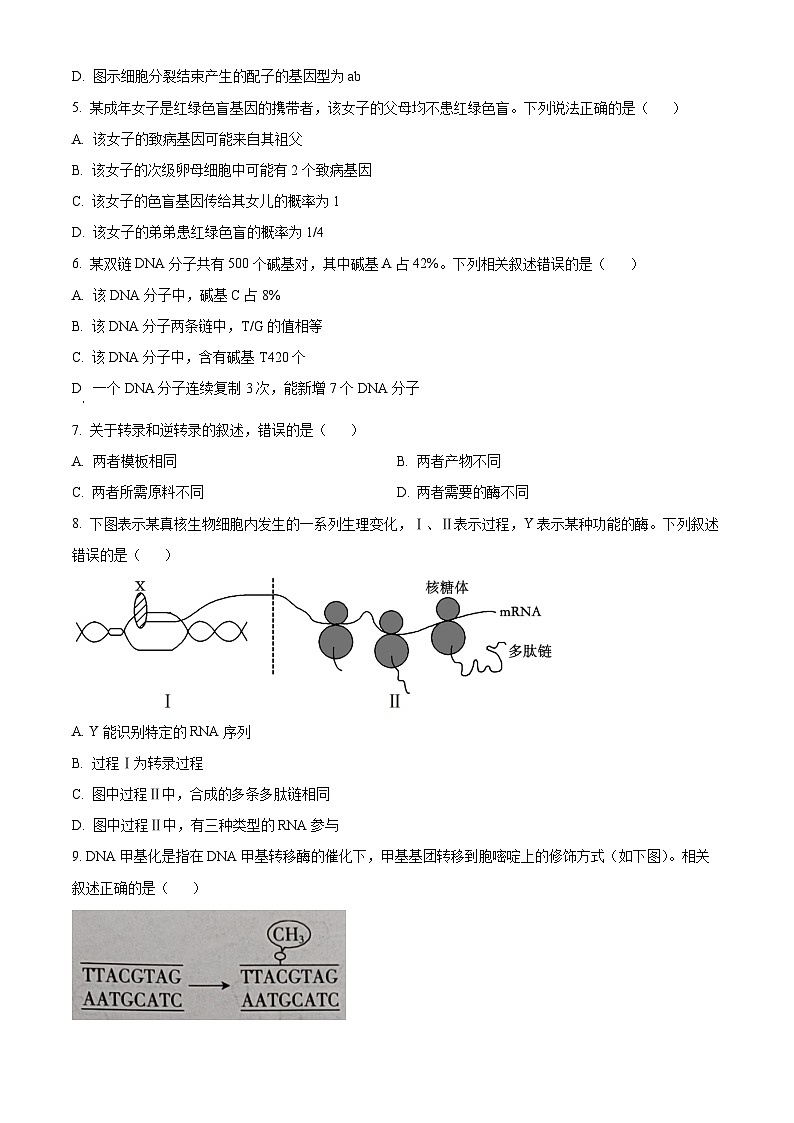 广西玉林新世纪高级中学2024-2025学年高二上学期开学假期调研考试生物试题（原卷版+解析版）02