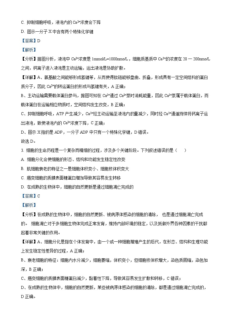 安徽省A10联盟2024-2025学年高三上学期开学考试生物试题（原卷版+解析版）02