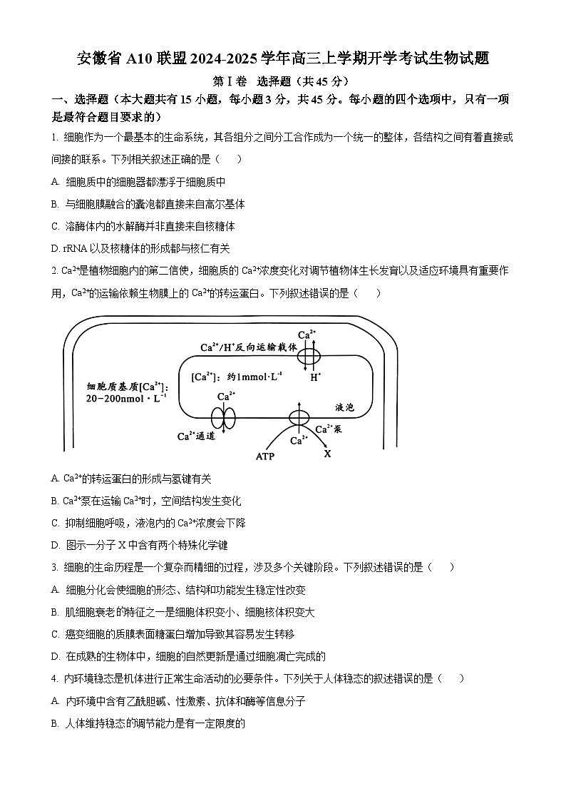 安徽省A10联盟2024-2025学年高三上学期开学考试生物试题（原卷版+解析版）01