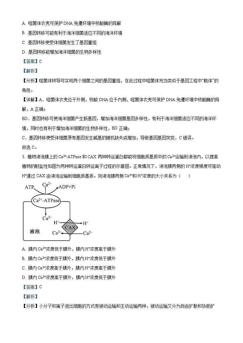陕西省延安市宝塔区培文实验学校2024-2025学年高三上学期开学摸底考试生物试卷（解析版）第2页