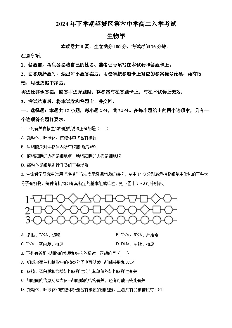 湖南省长沙市望城区第六中学2024-2025学年高二上学期开学考试生物试题（原卷版）第1页