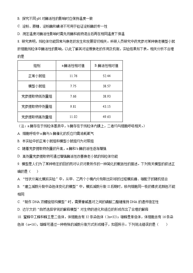 湖南省长沙市望城区第六中学2024-2025学年高二上学期开学考试生物试题（原卷版）第3页