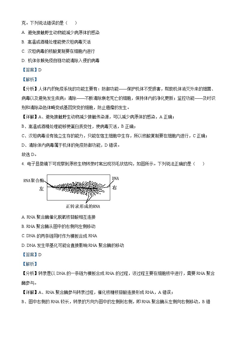 湖南省湖南省部分学校2024-2025学年高三上学期8月月考生物试题（解析版）03