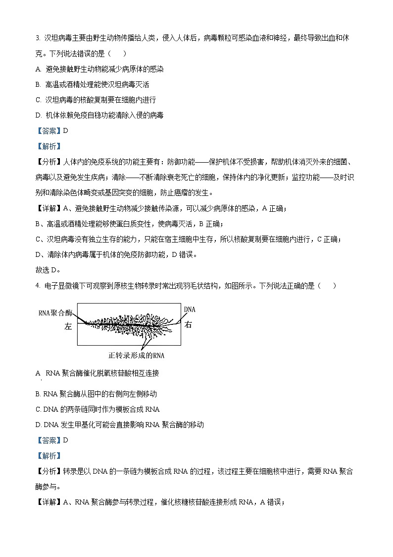 湖南省部分学校（含邵阳市第二中学）2024-2025学年高三上学期入学考试生物试题（解析版）03