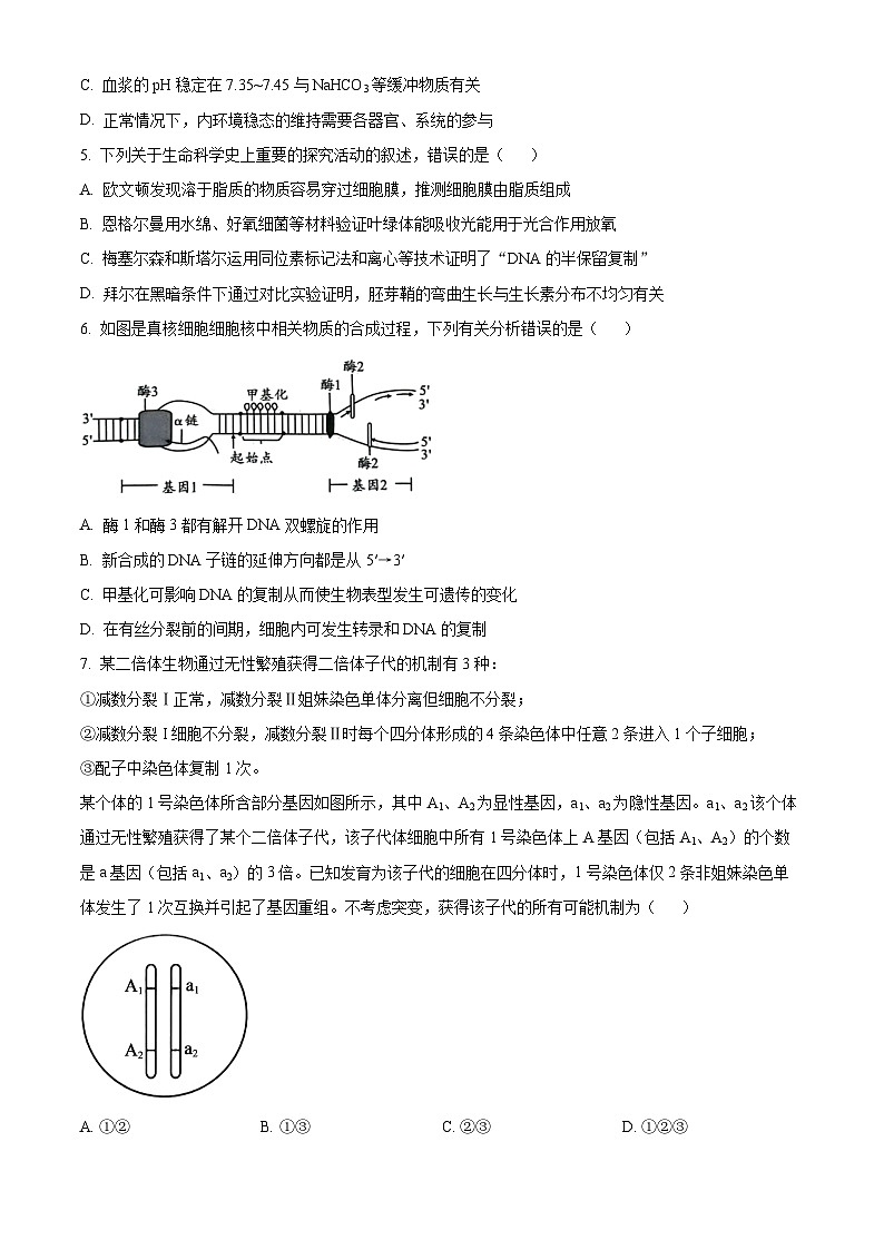 安徽省A10联盟2024-2025学年高三上学期开学考试生物试题（原卷版）02