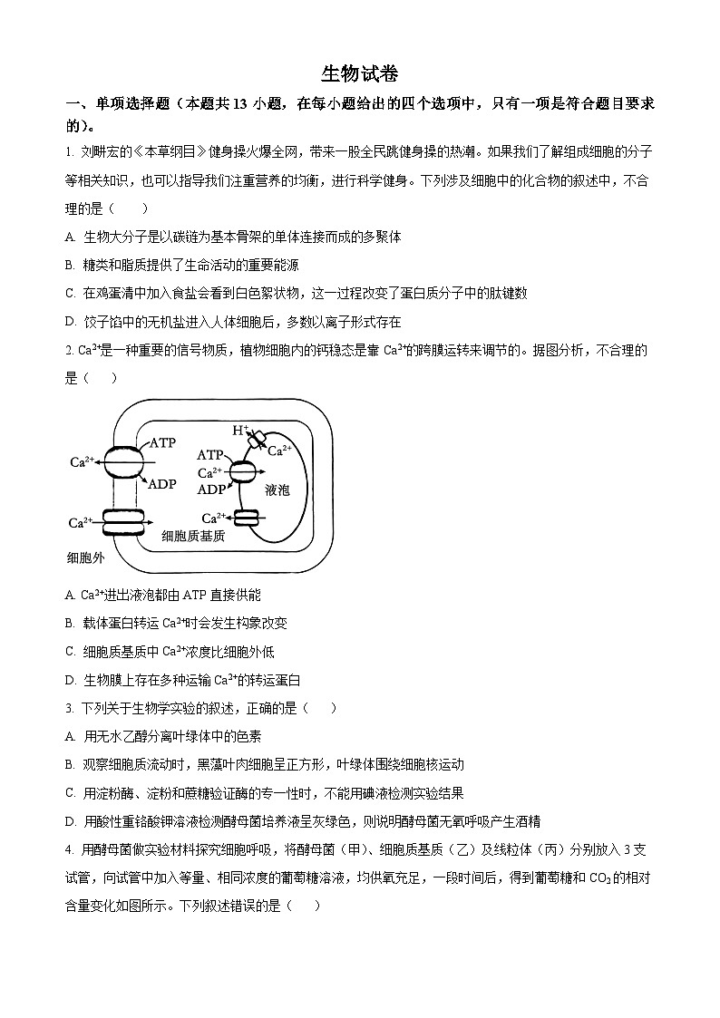 2024届河北省高三下学期二模生物试题（原卷版）01