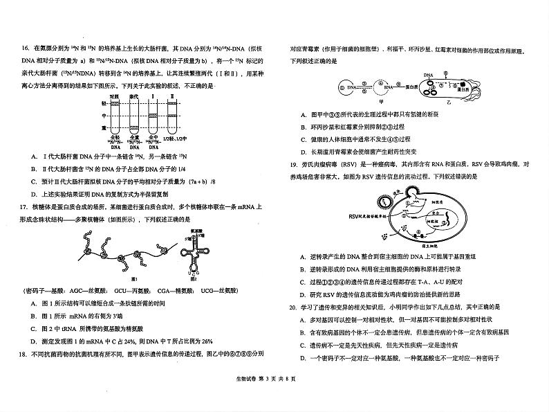 黑龙江省哈尔滨市松北区哈尔滨市第九中学校2024-2025学年高二上学期开学生物试题03