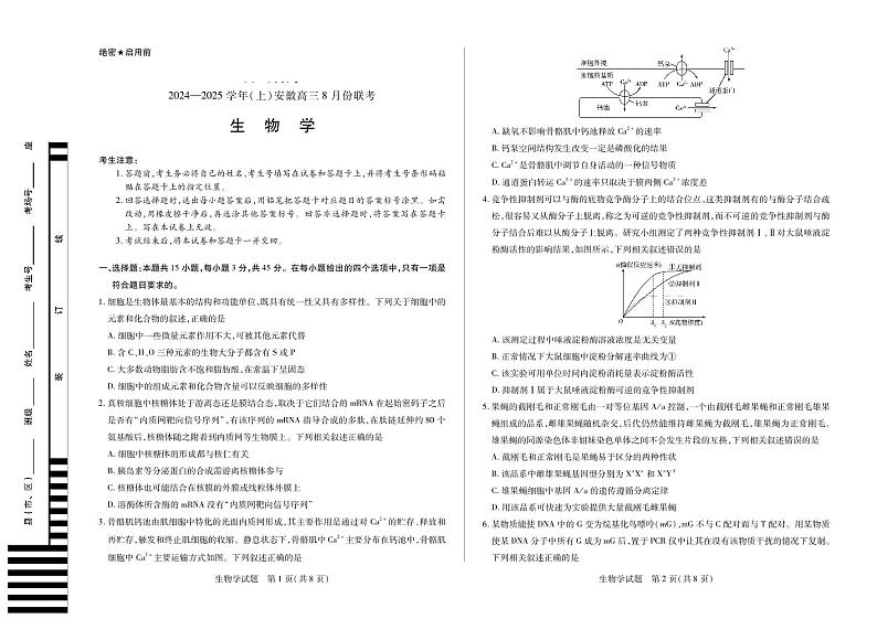 安徽省部分学校2024-2025学年高三上学期8月联考生物试题01