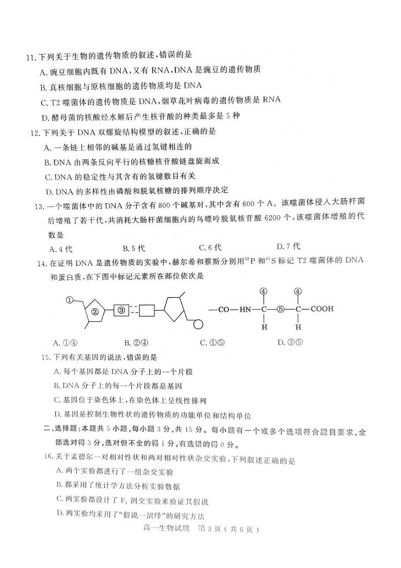 山东省聊城市2022-2023学年高一下学期4月期中生物试题03