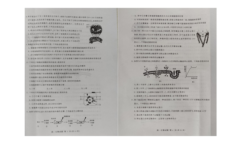 山东省聊城市全市联考2022-2023学年高一上学期期中测试生物试题02