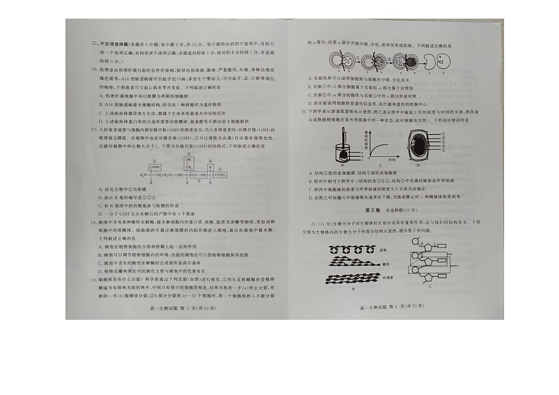 山东省聊城市全市联考2022-2023学年高一上学期期中测试生物试题03