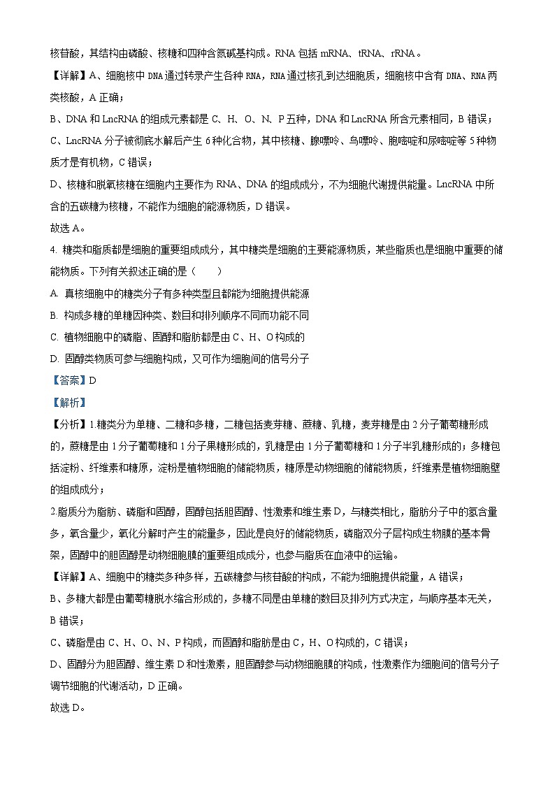 吉林省白城市洮北区白城市第一中学2024-2025学年高三上学期开学考试生物试题（解析版）第3页