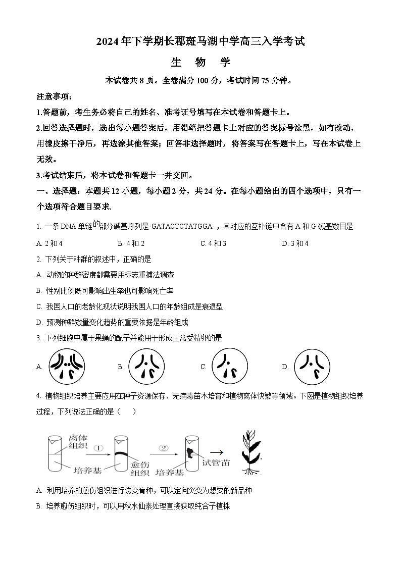 湖南省长沙市望城区长沙市望城区长郡斑马湖中学2024-2025学年高三上学期开学生物试题（原卷版+解析版）01