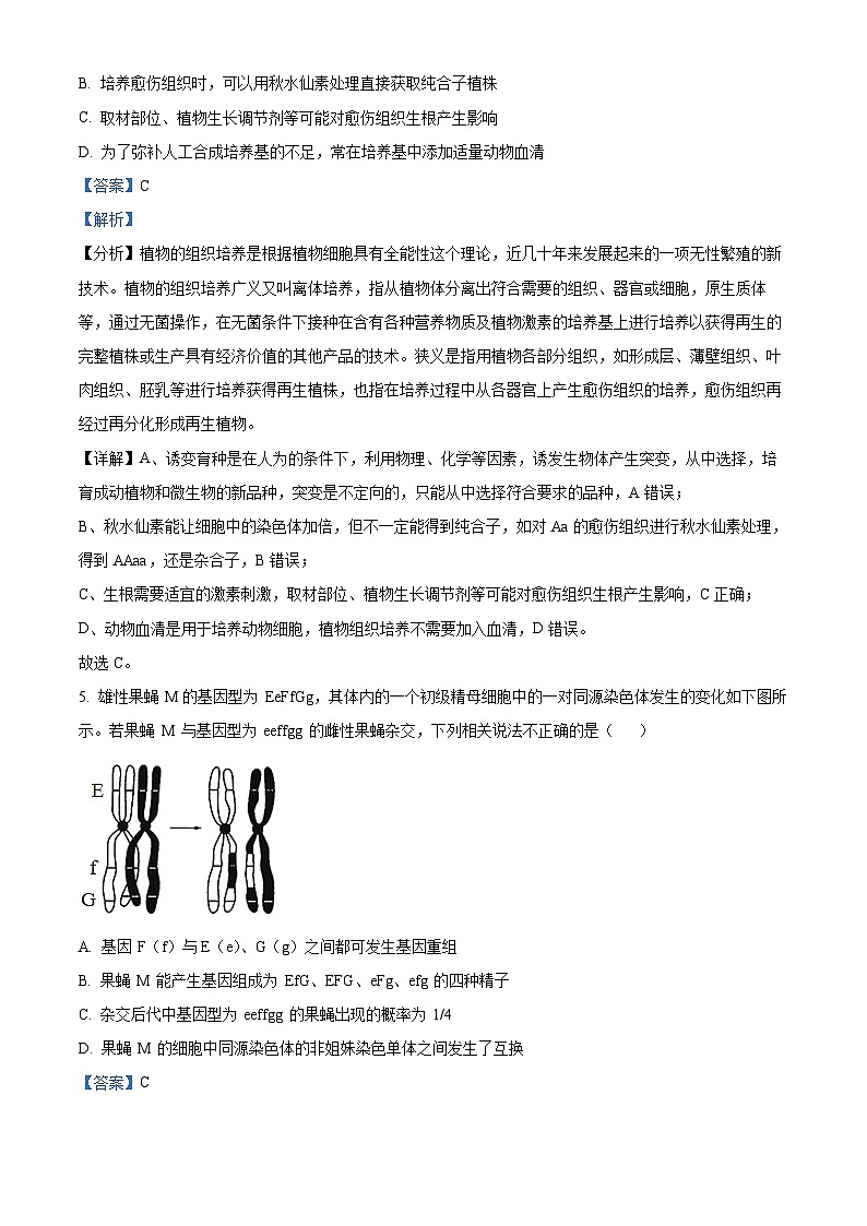 湖南省长沙市望城区长沙市望城区长郡斑马湖中学2024-2025学年高三上学期开学生物试题（原卷版+解析版）03