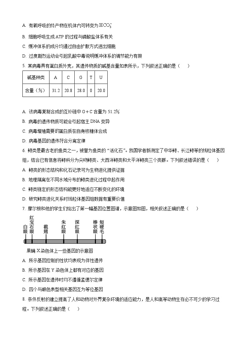 湖南省衡阳县第一中学2024-2025学年高三上学期开学考试生物试卷（原卷版+解析版）02