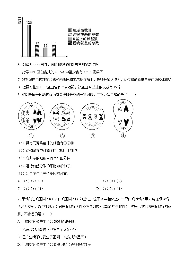 河南省安阳市林州市林州市第一中学2024-2025学年高二上学期8月月考生物试题（原卷版）第3页