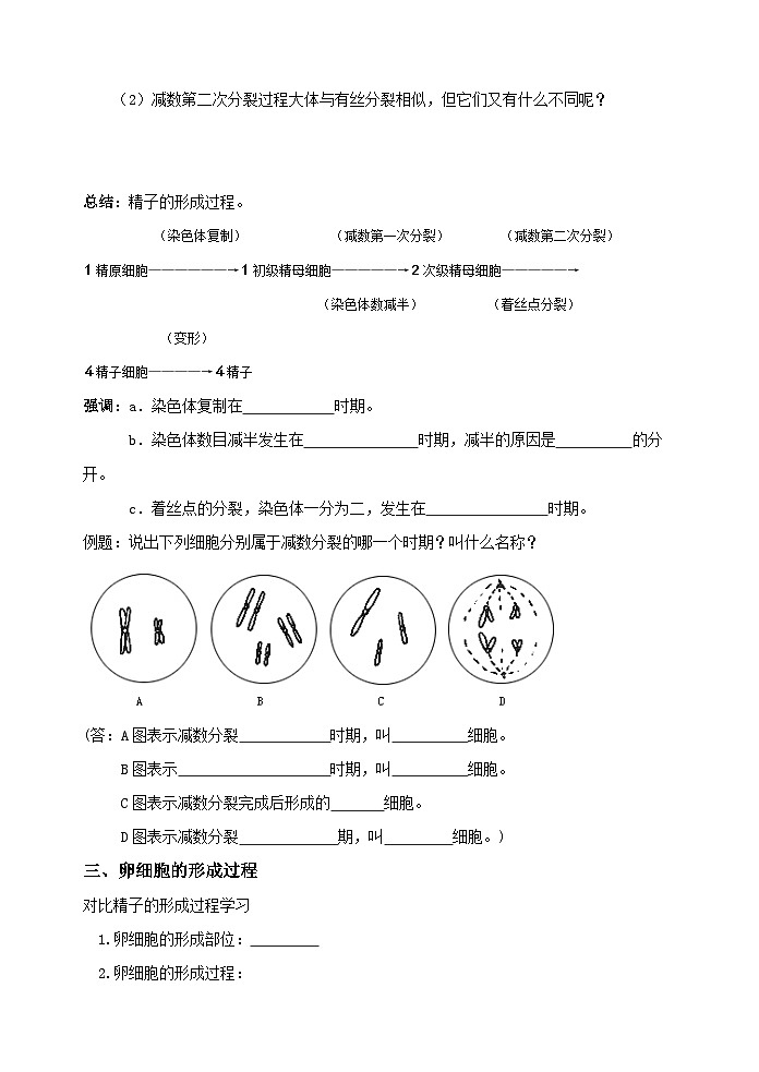 2.1减数分裂和受精作用导学案 高中生物人教版必修2第3页