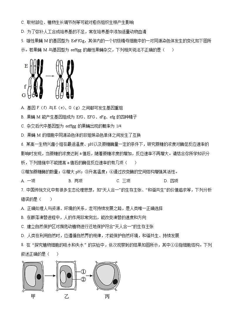 湖南省长沙市望城区长沙市望城区长郡斑马湖中学2024-2025学年高三上学期开学生物试题（原卷版）第2页