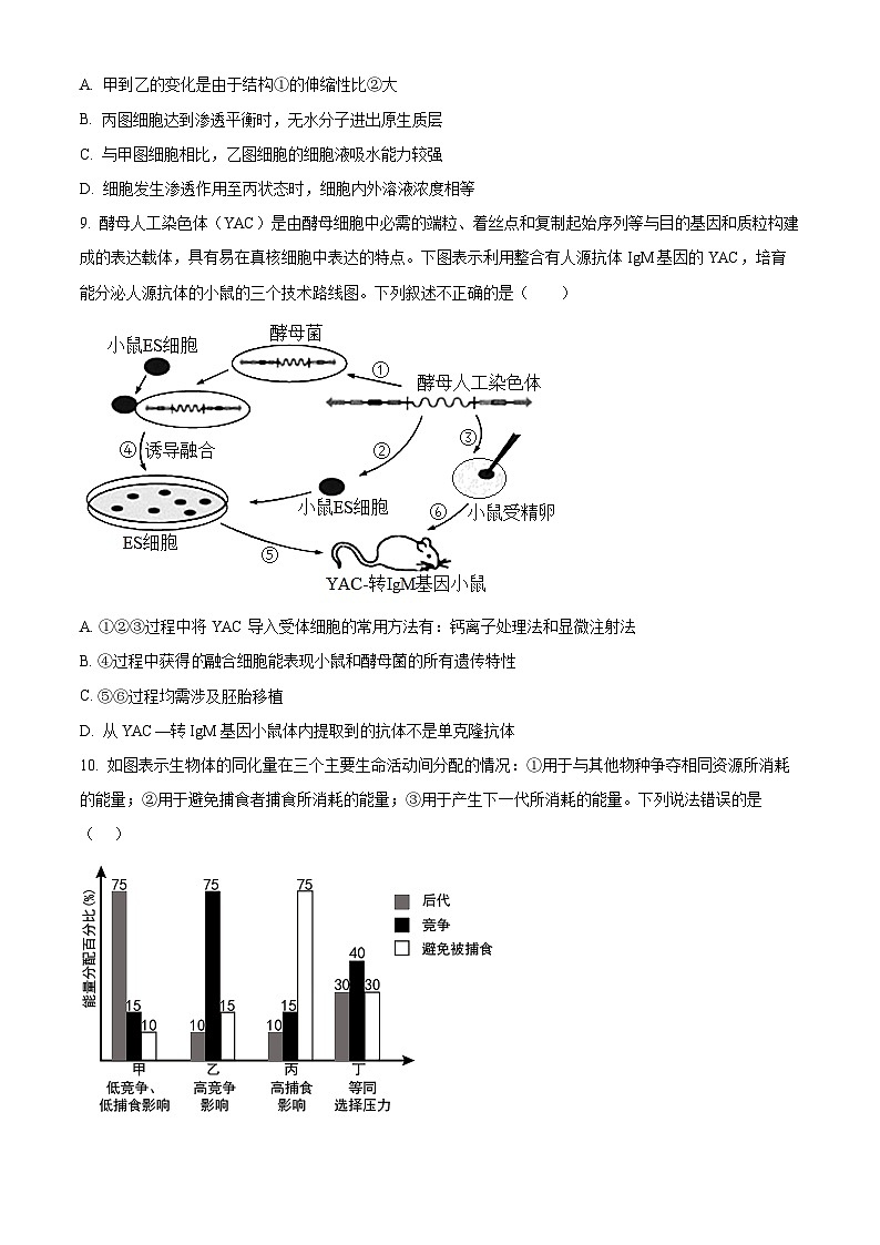 湖南省长沙市望城区长沙市望城区长郡斑马湖中学2024-2025学年高三上学期开学生物试题（原卷版）第3页