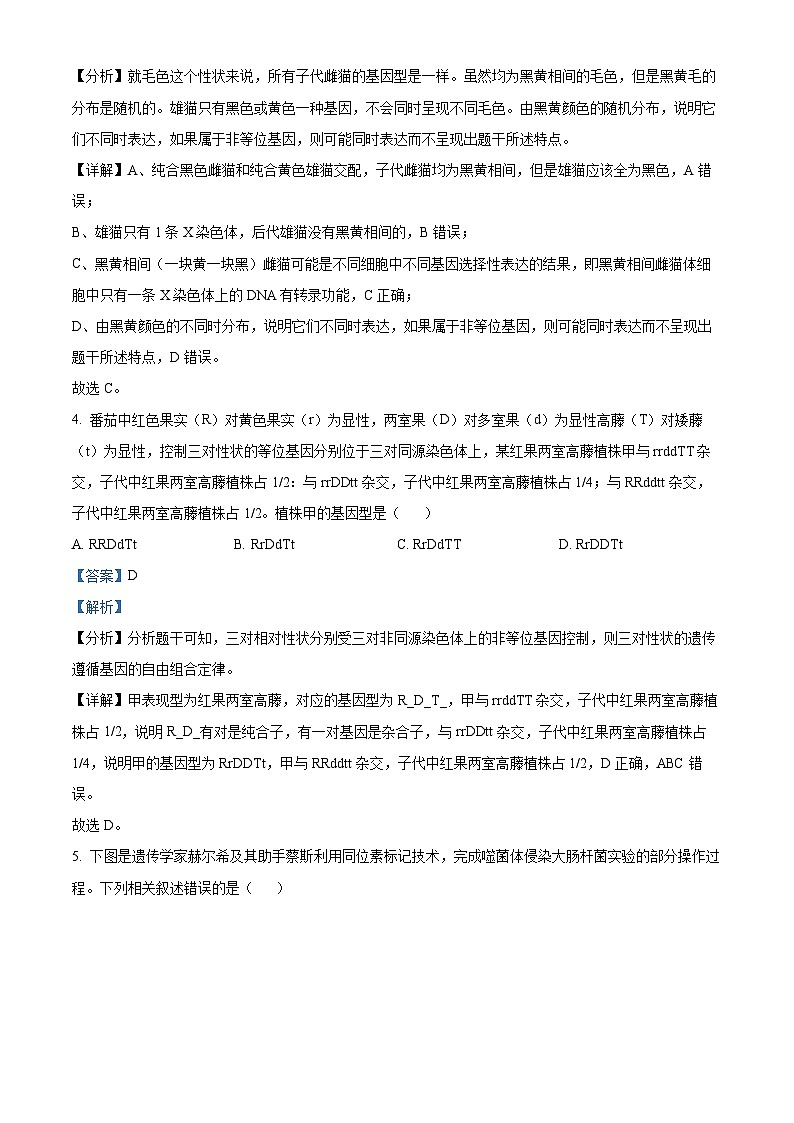 河南省安阳市林州市林州市第一中学2024-2025学年高二上学期8月月考生物试题（解析版）03