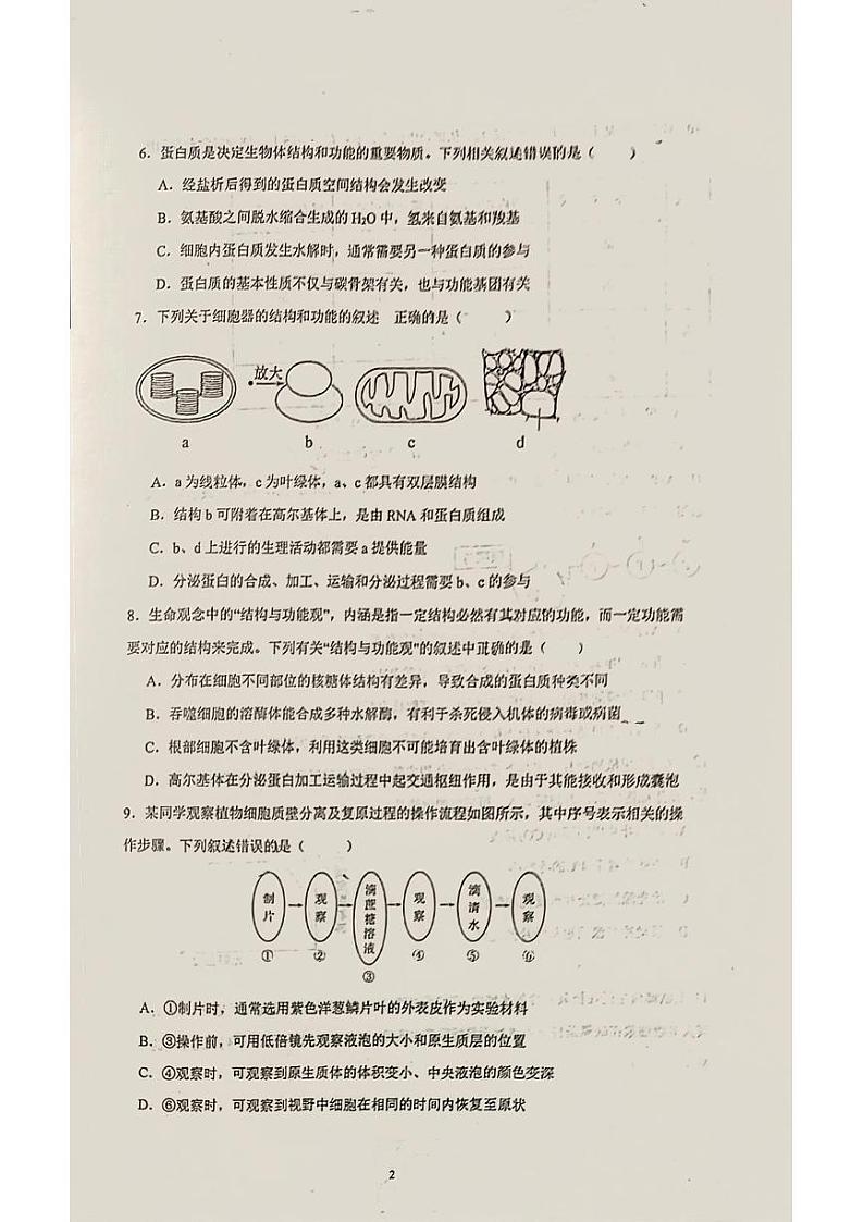 安徽省蚌埠第四中学2024—2025学年高二上学期开学考试生物试题02
