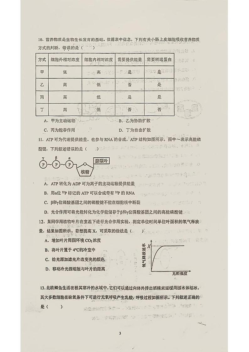安徽省蚌埠第四中学2024—2025学年高二上学期开学考试生物试题03
