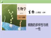 1.1+细胞是生命活动的基本单位课件【新教材】人教版（2019）高中生物 必修一