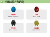 1.1+细胞是生命活动的基本单位课件【新教材】人教版（2019）高中生物 必修一