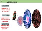1.1+细胞是生命活动的基本单位课件【新教材】人教版（2019）高中生物 必修一