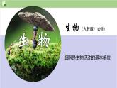 1.1 细胞是生命活动的基本单位课件【新教材】人教版（2019）高中生物 必修一