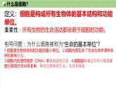 1.1 细胞是生命活动的基本单位课件【新教材】人教版（2019）高中生物 必修一